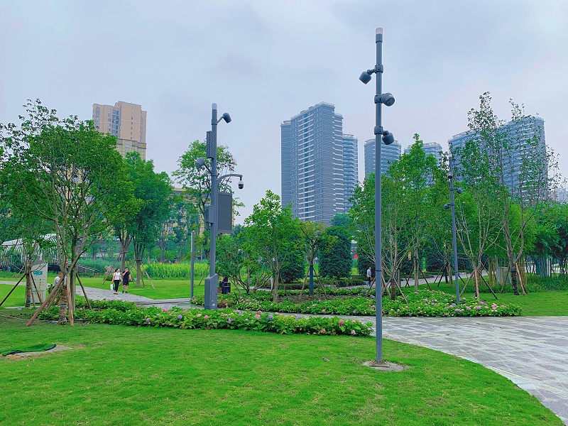 菲尼特路灯
